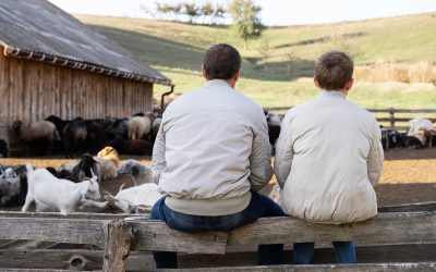 Alcances del proyecto de ley de protección al territorio y la vida rural